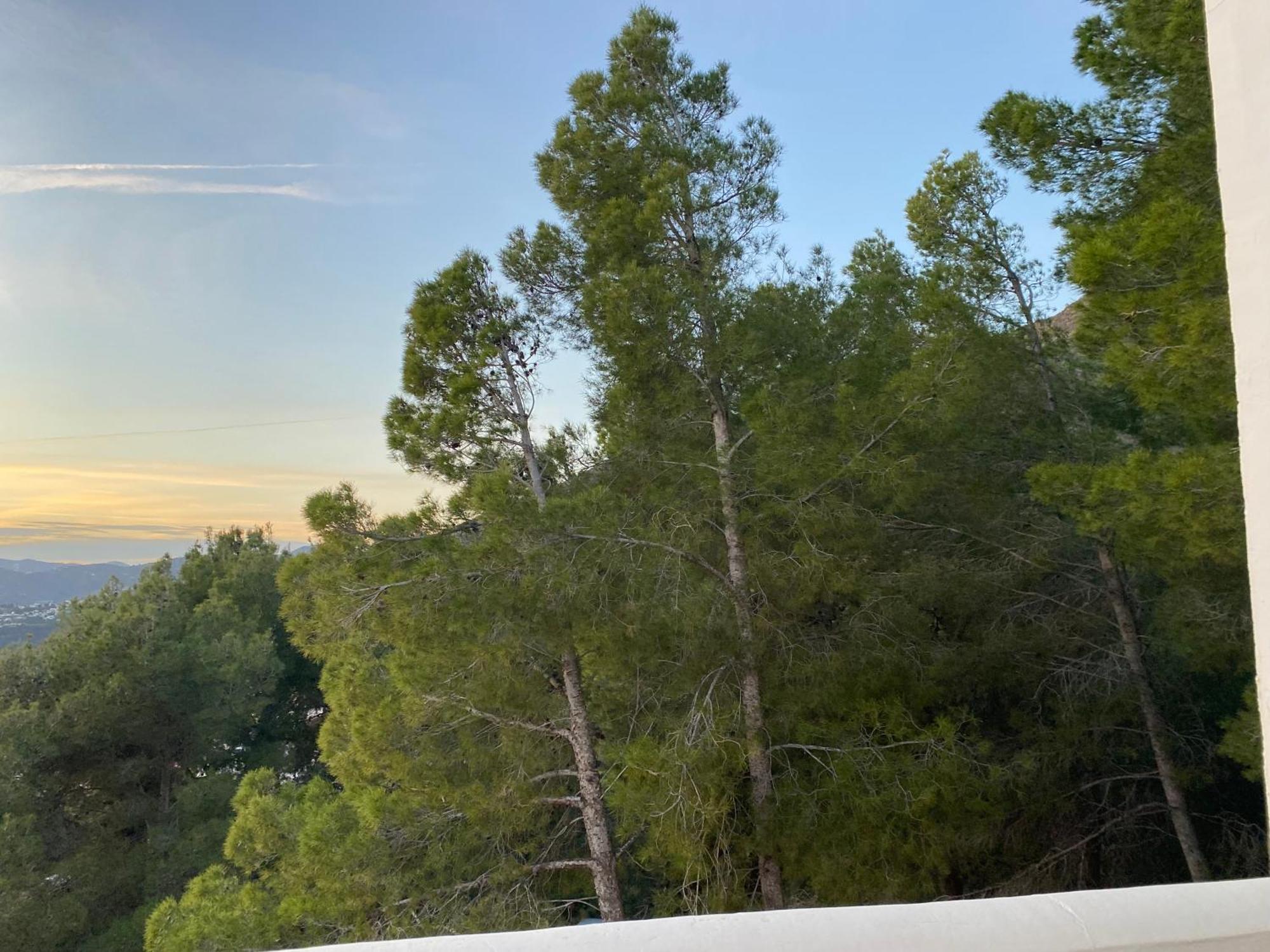 Precioso Apartamento Mandarinos Con Vistas Al Mar Nerja Exterior photo